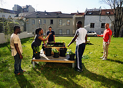 vignette Photo n°12 du bien 
