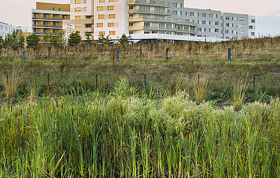 aperçu de la résidence R&eacute;sidence Daniel Morelon