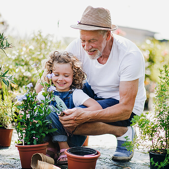 Un grand-père et sa petite fille mettent des plantes en pots