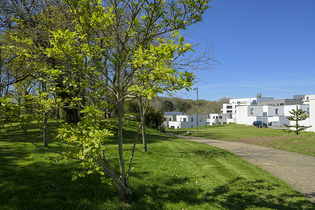 L'environnement arboré du programme "L'Andalouse" à Lorient