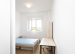 vignette Photo n°10 du bien 