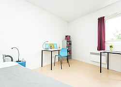 vignette Photo n°10 du bien 