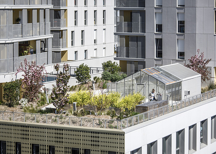Les serres sur les toits d'Odacité à Rennes