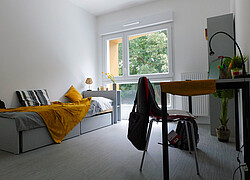 vignette Photo n°7 du bien 