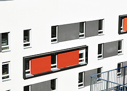 vignette Photo n°10 du bien 