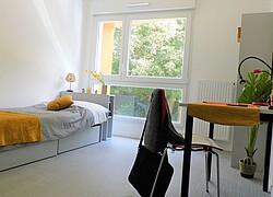 vignette Photo n°6 du bien 