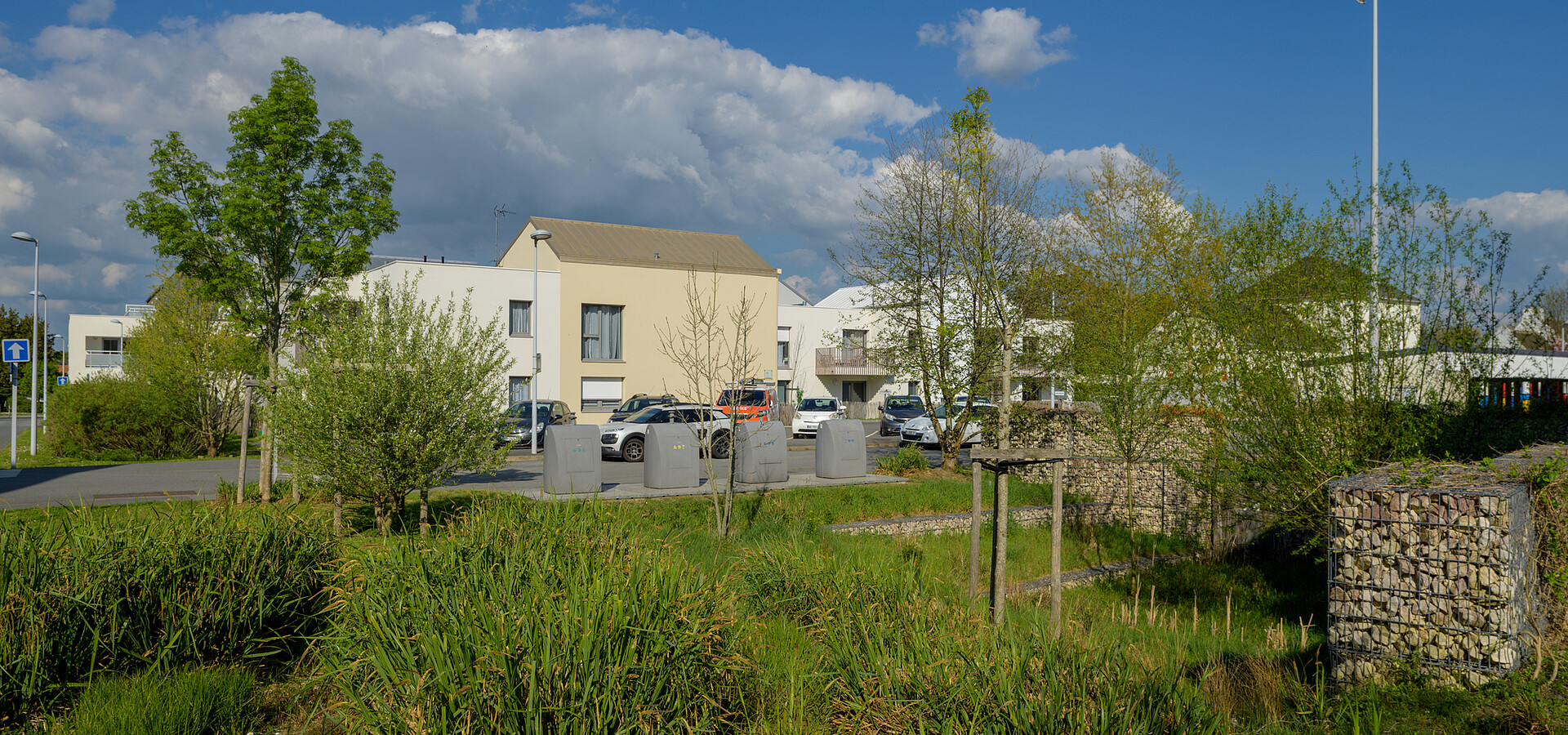 Un environnement arboré