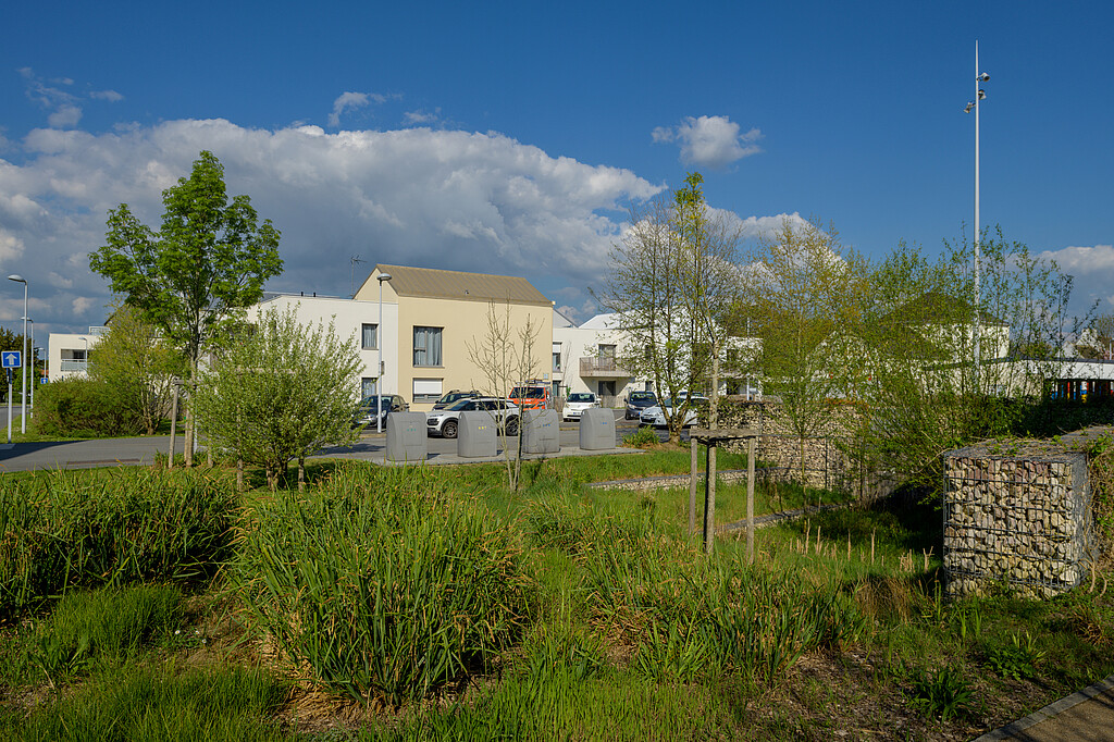 Un environnement arboré