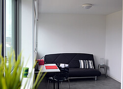 vignette Photo n°2 du bien 