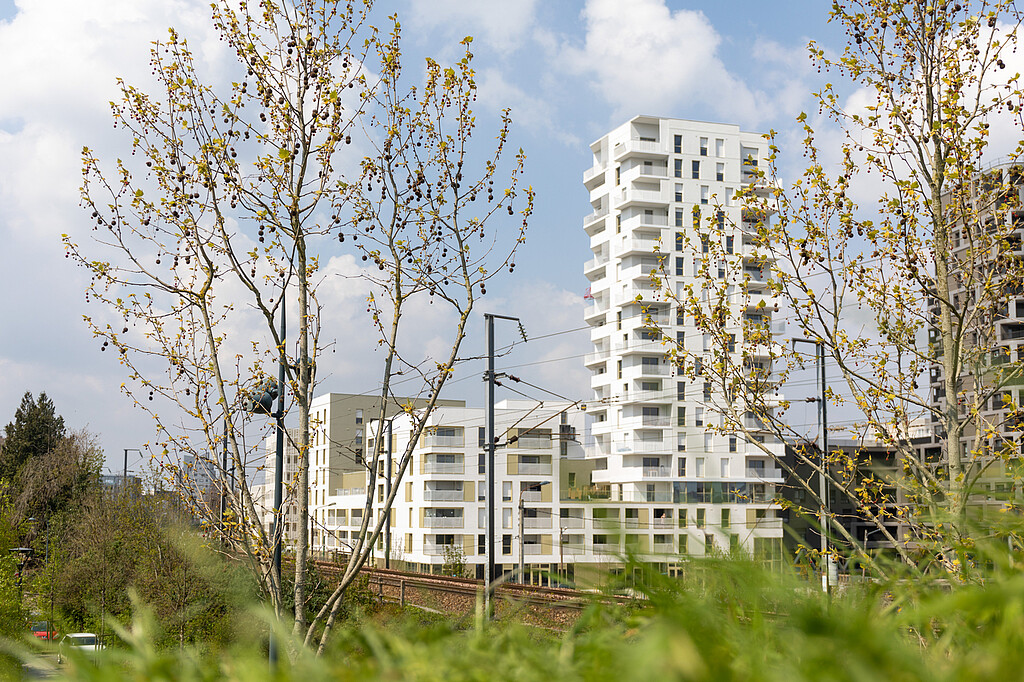 Vue d'ensemble du programme Dremmwel à Rennes