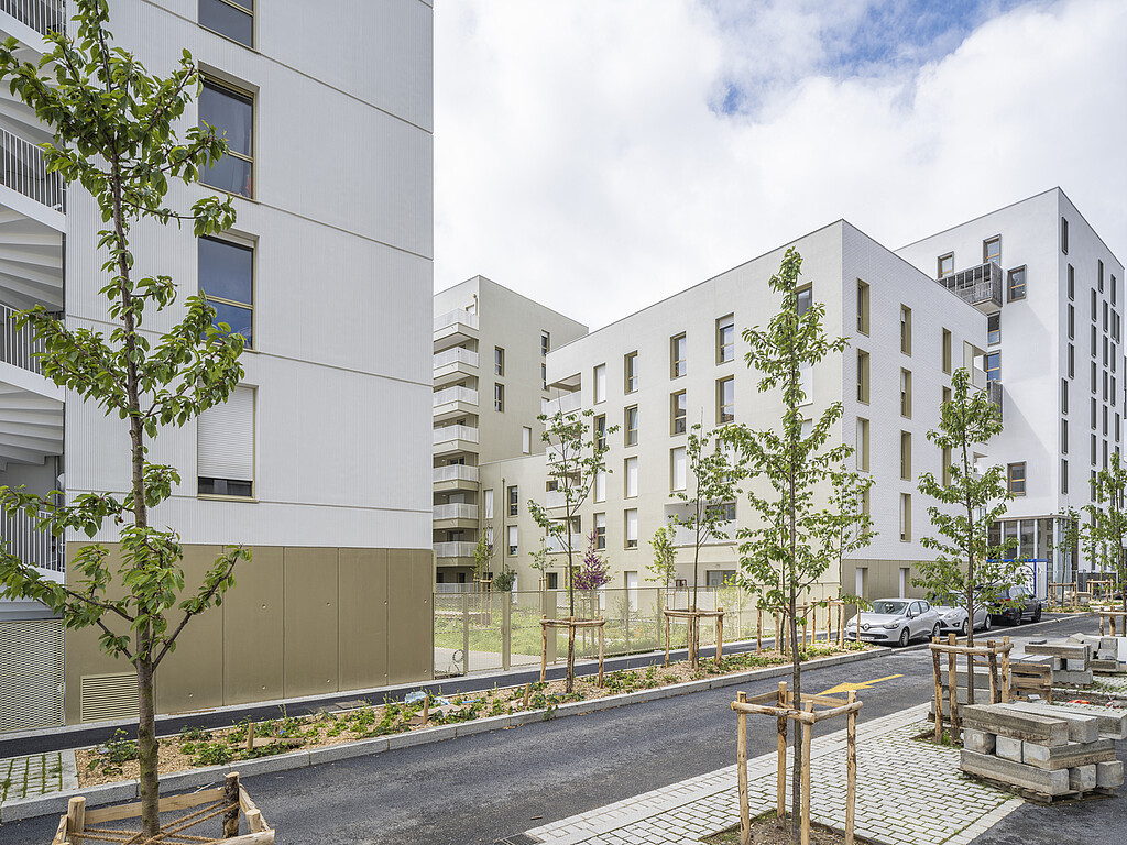 Vue d'ensemble du programme Dremmwel à Rennes