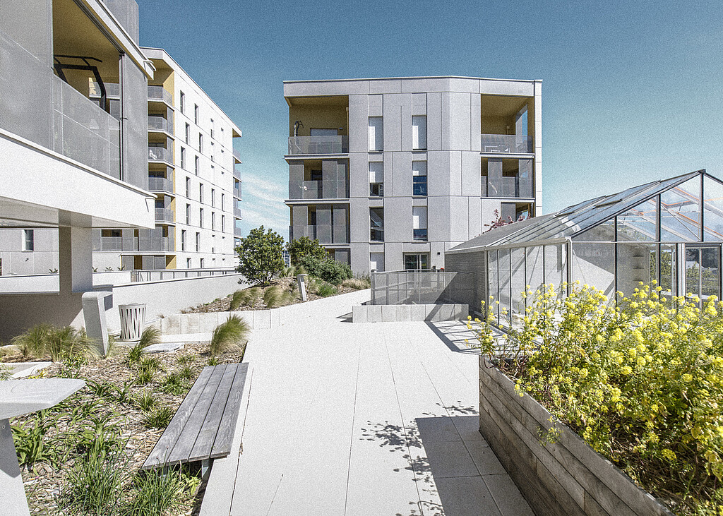 Les jardins suspendus d'Odacité