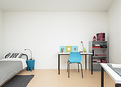 vignette Photo n°4 du bien 