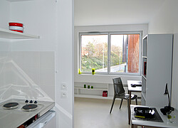 vignette Photo n°8 du bien 
