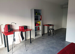 vignette Photo n°8 du bien 