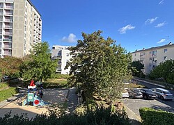 vignette Photo n°3 du bien 