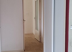 vignette Photo n°4 du bien 