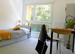 vignette Photo n°4 du bien 