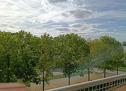 vignette Photo n°7 du bien 