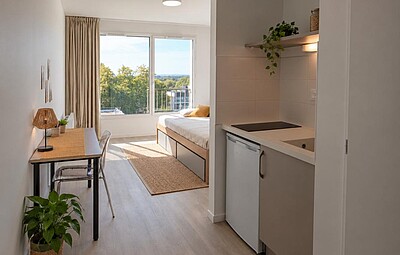aperçu du logement appartement - T1