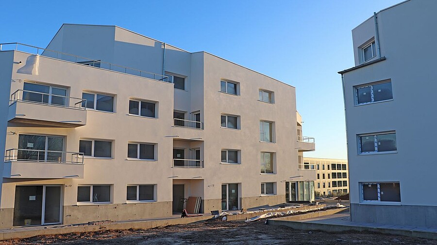 Photo n°3 du programme 