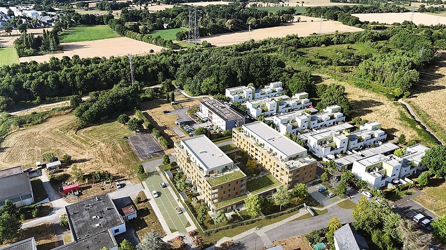 Photo n°3 du programme 